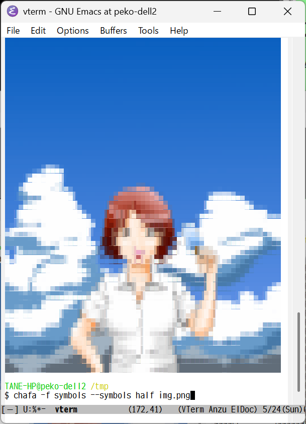 Emacs vterm で chafa表示
