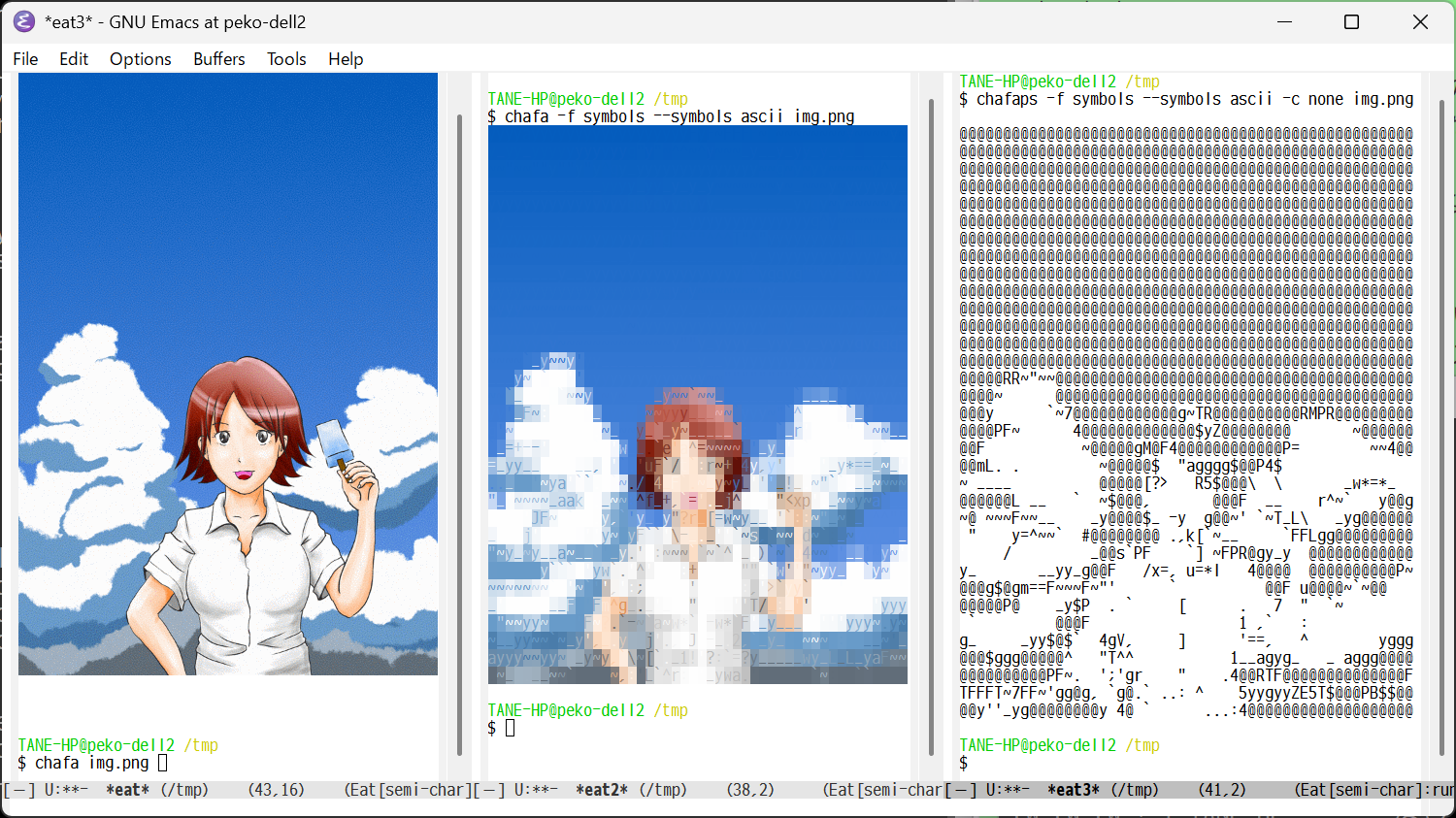 Emacs Eat で chafa表示バリエーション