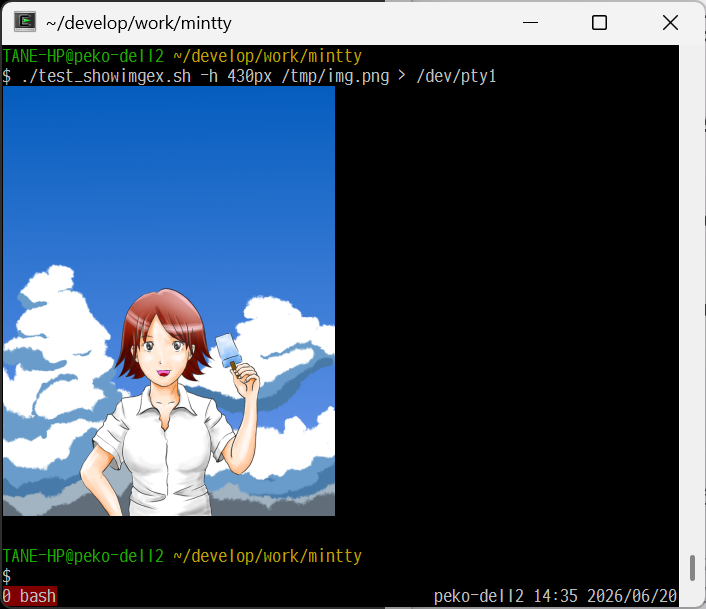 直接 /dev/ptyXに流し込んで minttyで画像表示