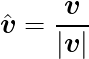 \begin{eqnarray*}
  \def\Vec#1{\mbox{\boldmath $#1$}}
  \mbox{\Large $ \displaystyle \hat{\Vec{v}}=\frac{\Vec{v}}{|\Vec{v}|} $ }
\end{eqnarray*}
